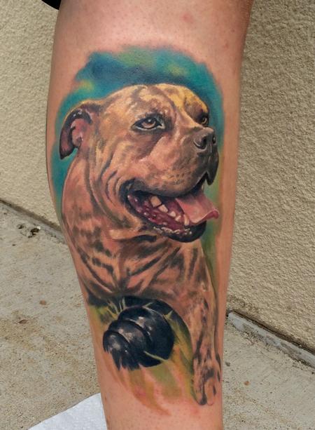 Brandon Heffron - Dog Portrait 